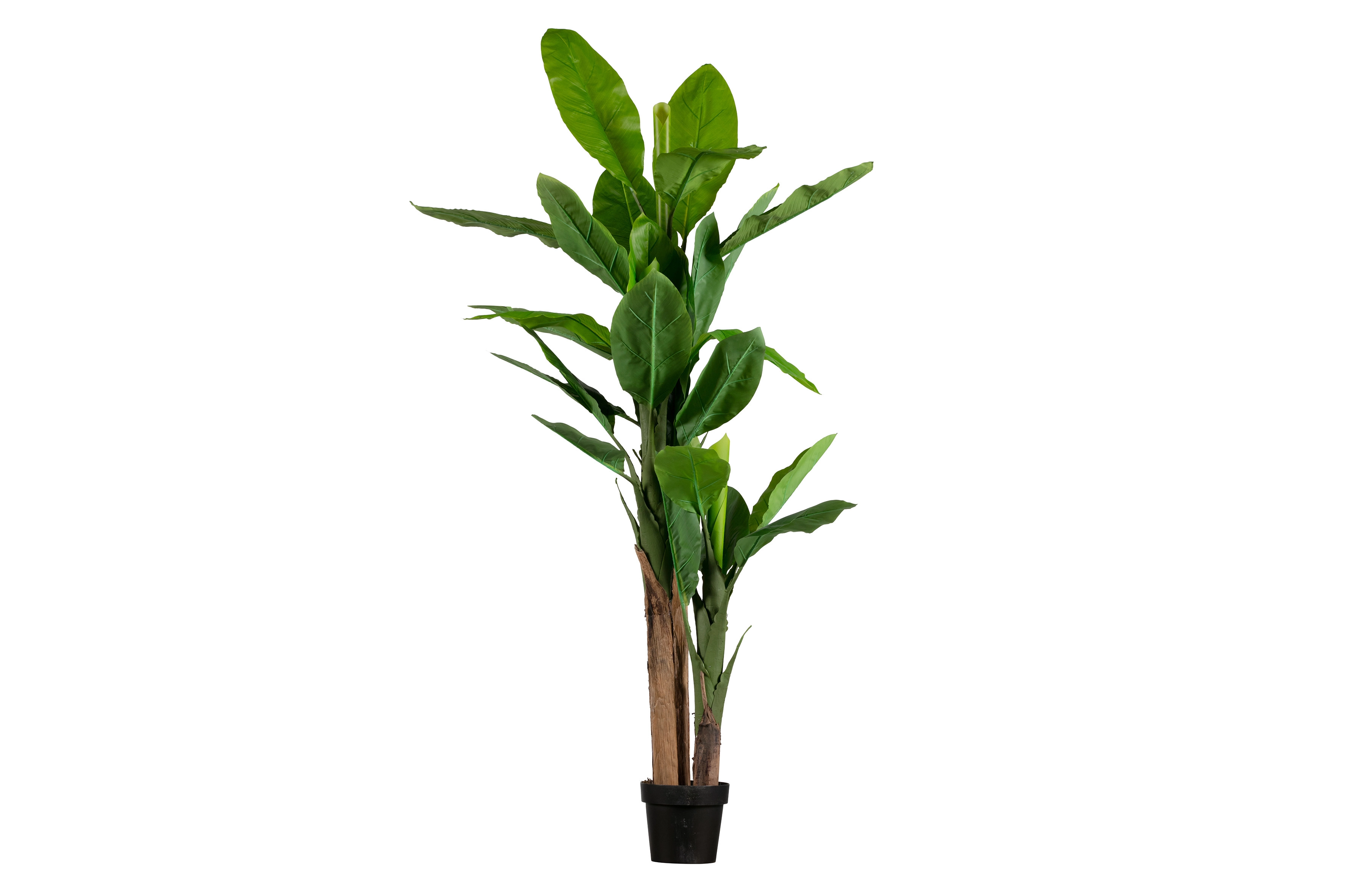 Rent a Artificial plant banana (green)? Rent at KeyPro furniture rental!