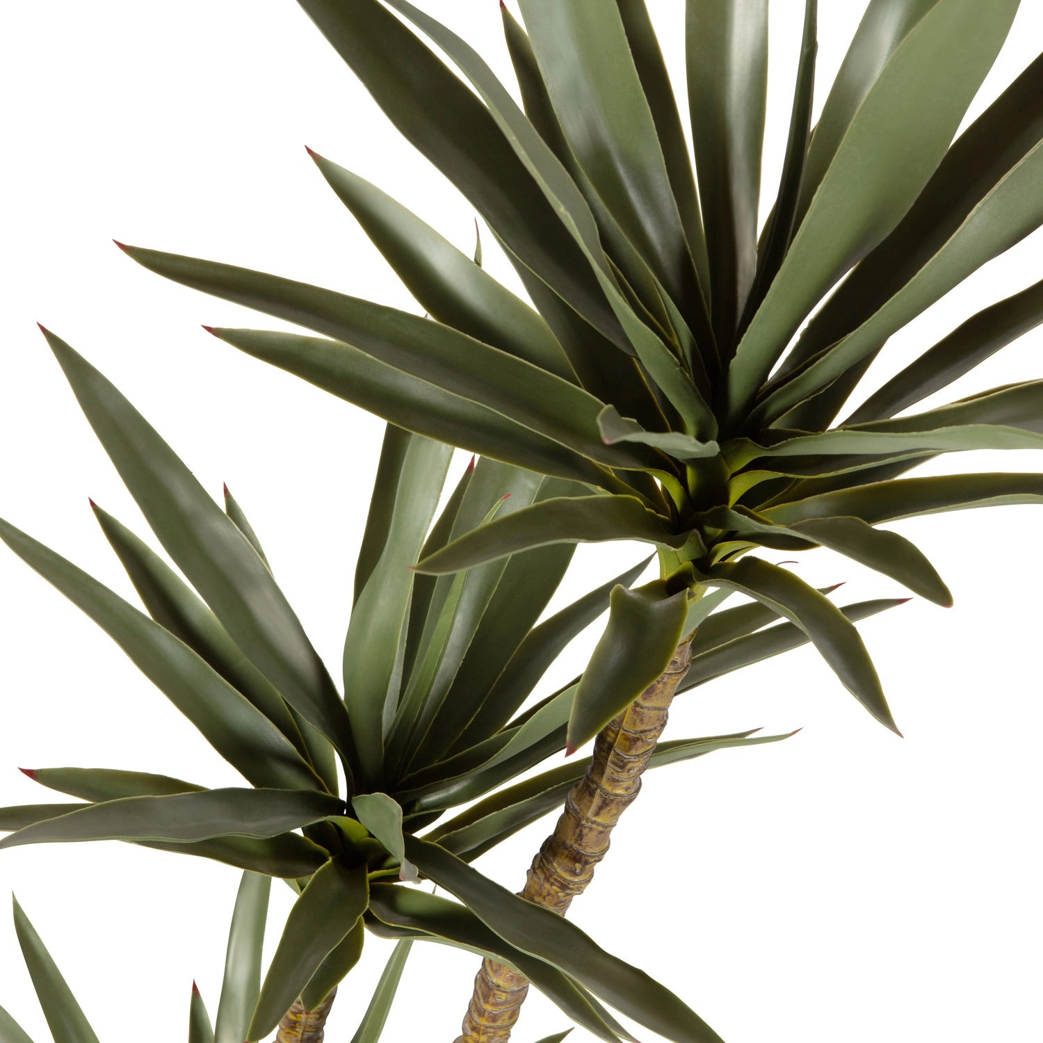 Kunstplant Yucca (155cm) huren? Huur bij KeyPro meubelhuur!